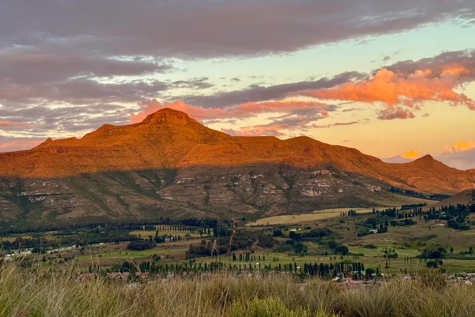 Mountain peaks lit pink at sunset above the treeline